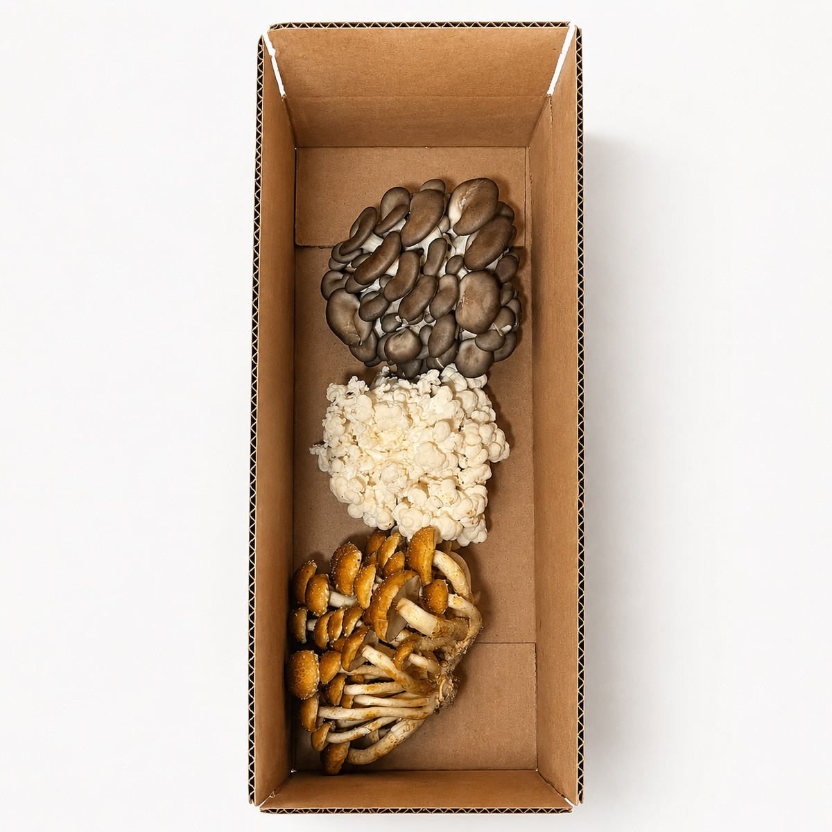 Organic Chef’s Mix Mushroom Box — 2 lb