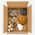 Organic Chef’s Mix Mushroom Box — 5 lb